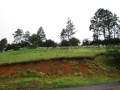 mirador2