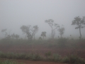 Chapada dos Veadeiros