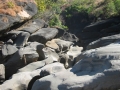 Chapada dos Veadeiros