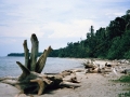 costa-rica-008-cahuita