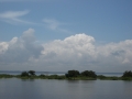 IMGP1745