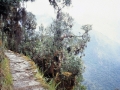 peru-037-machu-picchu